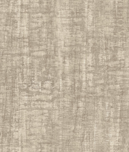 York Woodnote Monteverde Wallpaper - Putty