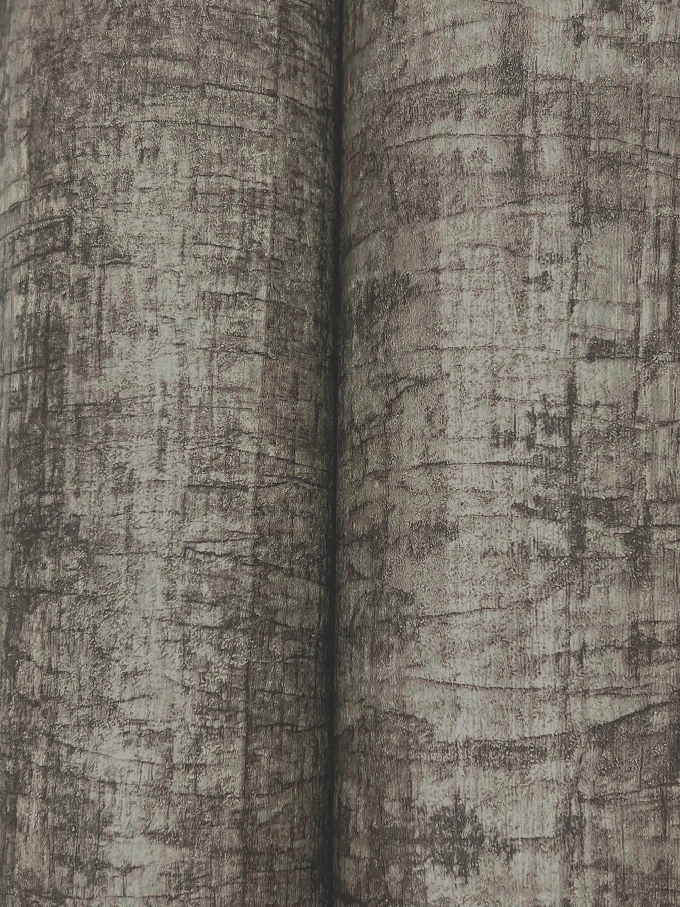 York Woodnote Monteverde Wallpaper - Black