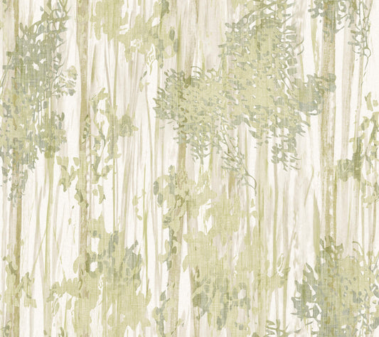 York Woodnote Aspen Grove Wallpaper - Green