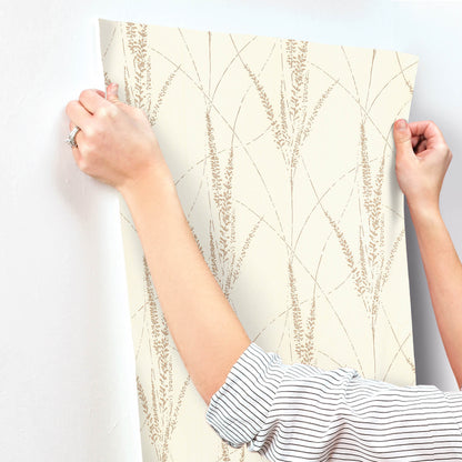 York Woodnote Graceful Willow Wallpaper - Cotton