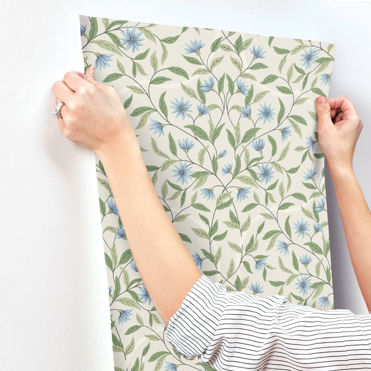 Greenhouse Jasmine Wallpaper - Cornflower