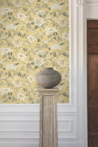 Ronald Redding Classics Marguerite Vine Wallpaper - Yellow