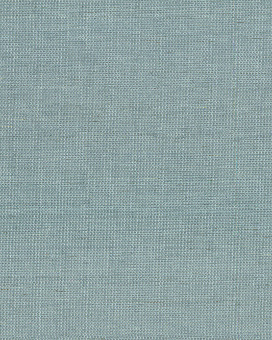 York Designer Sisals Grasscloth Wallpaper - Dragonfly