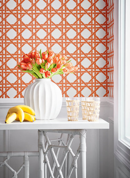 Thibaut Islander Canary Trellis Wallpaper - Coral