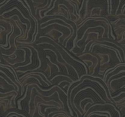 Ronald Redding Classics Geodes Wallpaper - Black