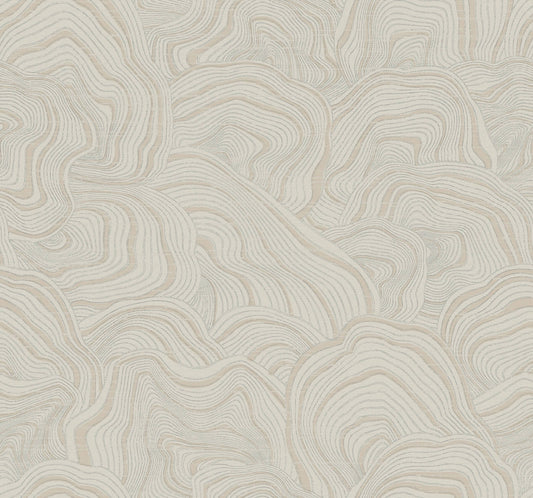Ronald Redding Classics Geodes Wallpaper - Taupe