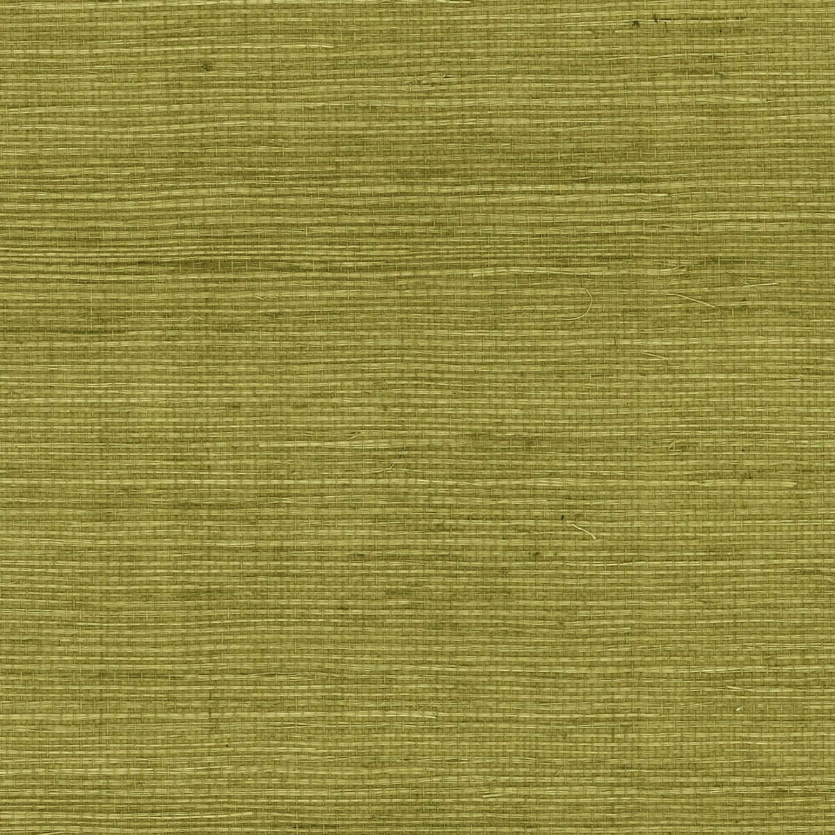 Lillian August Natural Textured Wallcoverings Grasscloth - Olive