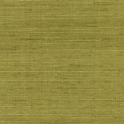 Lillian August Natural Textured Wallcoverings Grasscloth - Olive