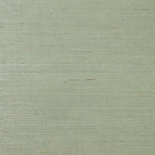 Lillian August Natural Textured Wallcoverings Grasscloth - Tender Green