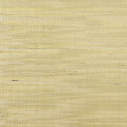 Lillian August Natural Textured Wallcoverings Grasscloth - Metallic Ivory