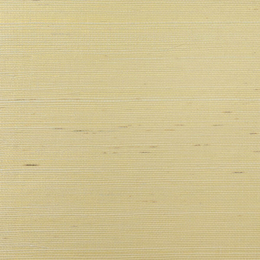 Lillian August Natural Textured Wallcoverings Grasscloth - Metallic Ivory