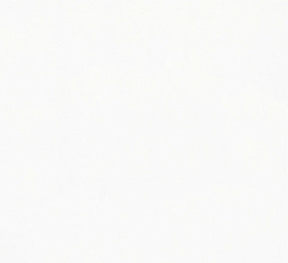 Antonina Vella Opulent Accents Eastwind Wallpaper - White