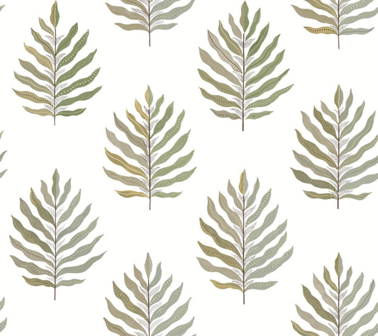 Montecito Miramar Wallpaper - Desert Palm