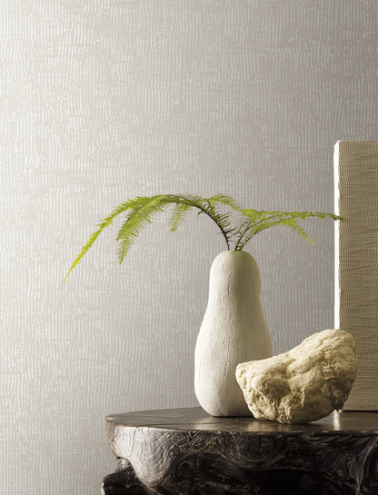 Montecito Trabadillo Plaster Wallpaper - Fog