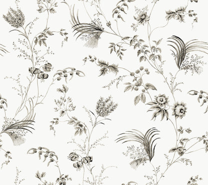 Ronald Redding Astoria Floral Lace Wallpaper - Black