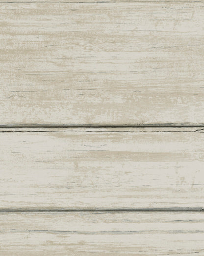 York Natural Digest Collection Wallpaper - SAMPLE