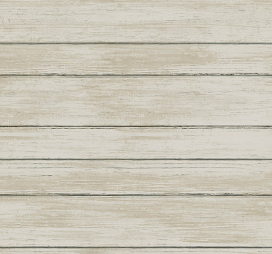 York Natural Digest Broad Side Wallpaper - Warm Grey