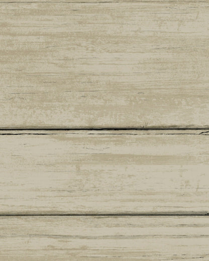 York Natural Digest Collection Wallpaper - SAMPLE