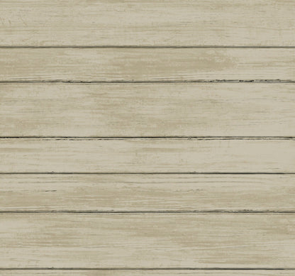 York Natural Digest Broad Side Wallpaper - Beige