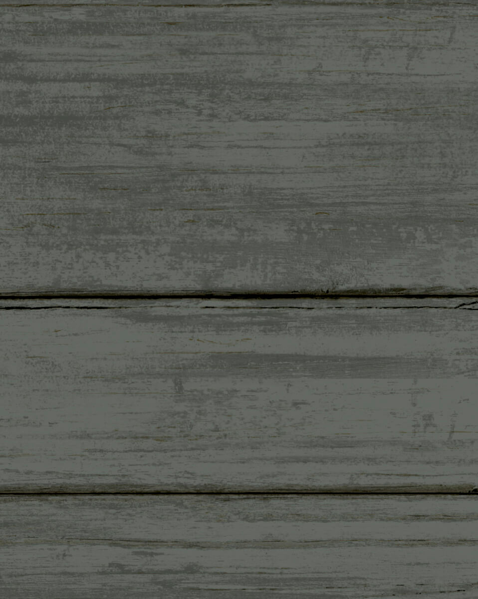 York Natural Digest Collection Wallpaper - SAMPLE