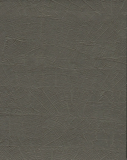 York Natural Digest On Deck Wallpaper - Dark Grey