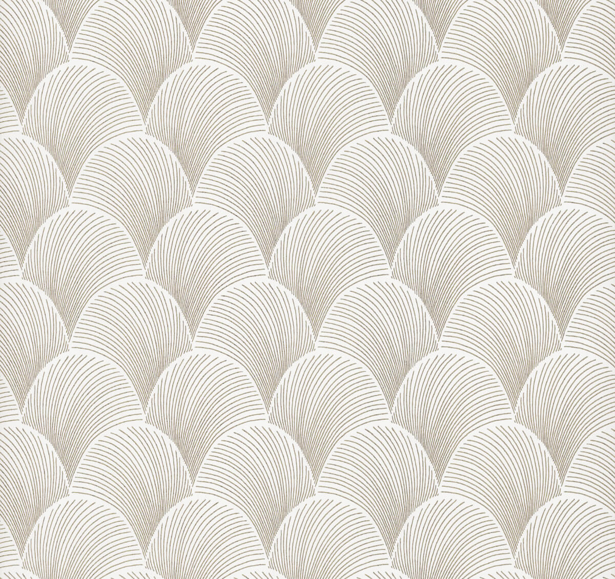 Candice Olson Natural Discovery Metallic Scallop Wallpaper - Black & White