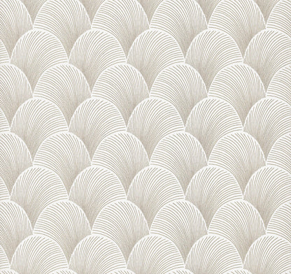 Candice Olson Natural Discovery Metallic Scallop Wallpaper - Black & White