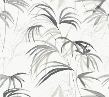 Candice Olson Natural Discovery Inky Palms Wallpaper - Black