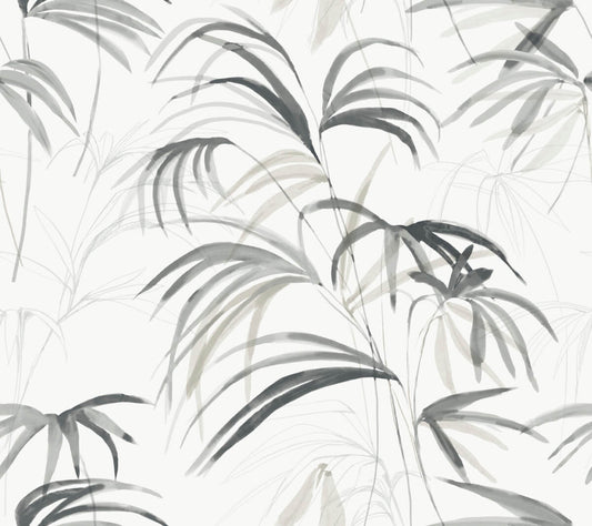 Candice Olson Natural Discovery Inky Palms Wallpaper - Black