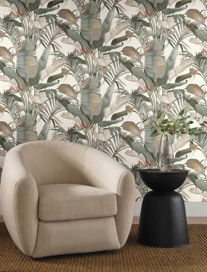 Candice Olson Natural Discovery Tropical Cabana Wallpaper - White