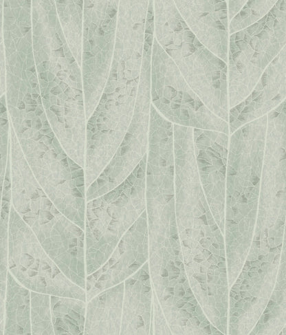 Candice Olson Natural Discovery Dicot Leaf Wallpaper - Spa
