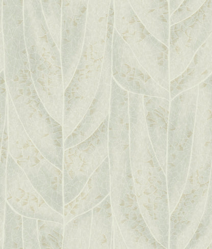 Candice Olson Natural Discovery Collection Wallpaper - SAMPLE