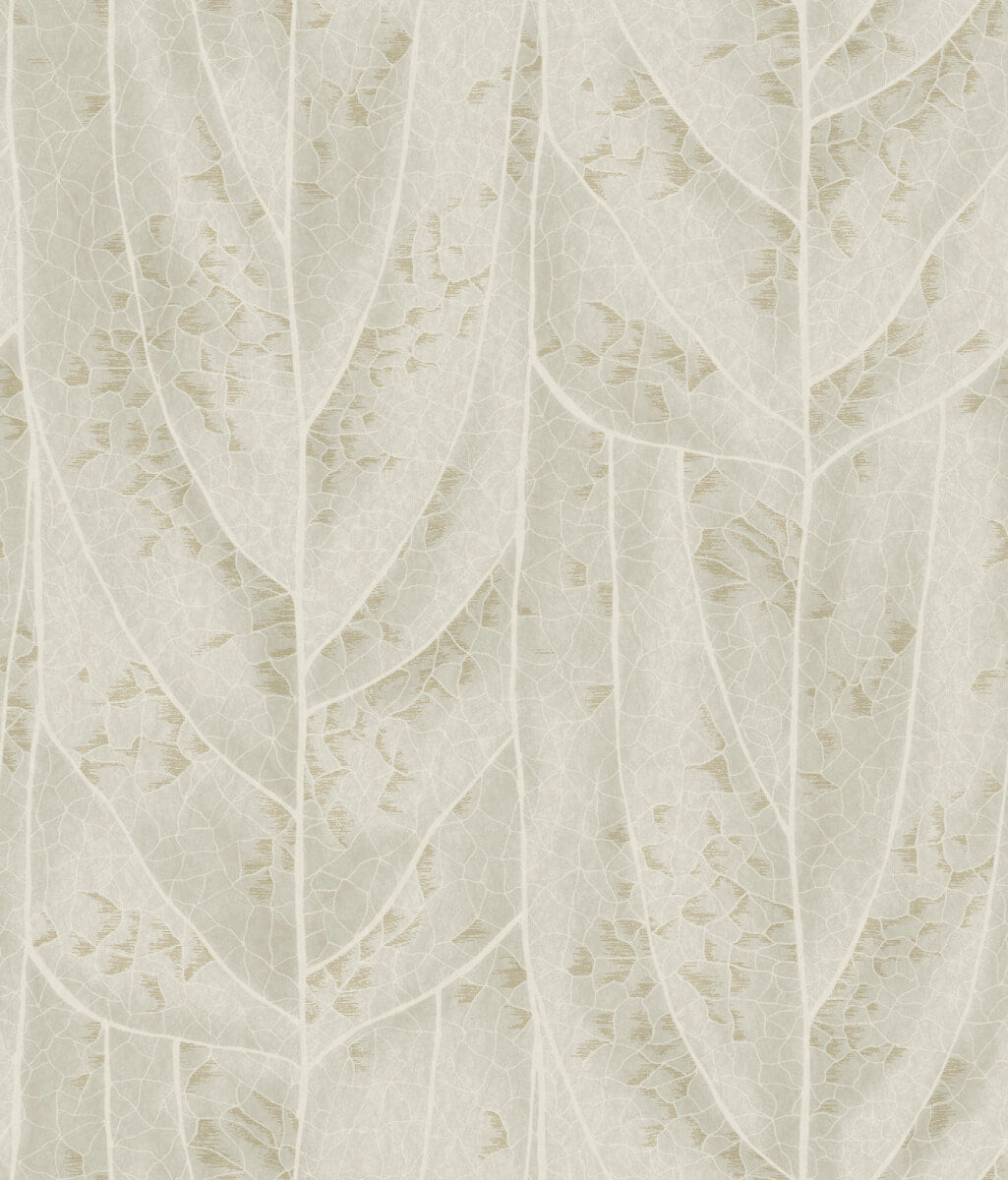 NT6144 Candice Olson Natural Discovery Dicot Leaf Wallpaper - Beige ...