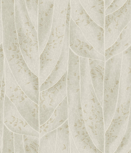 Candice Olson Natural Discovery Dicot Leaf Wallpaper - Beige