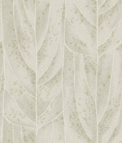 Candice Olson Natural Discovery Collection Wallpaper - SAMPLE