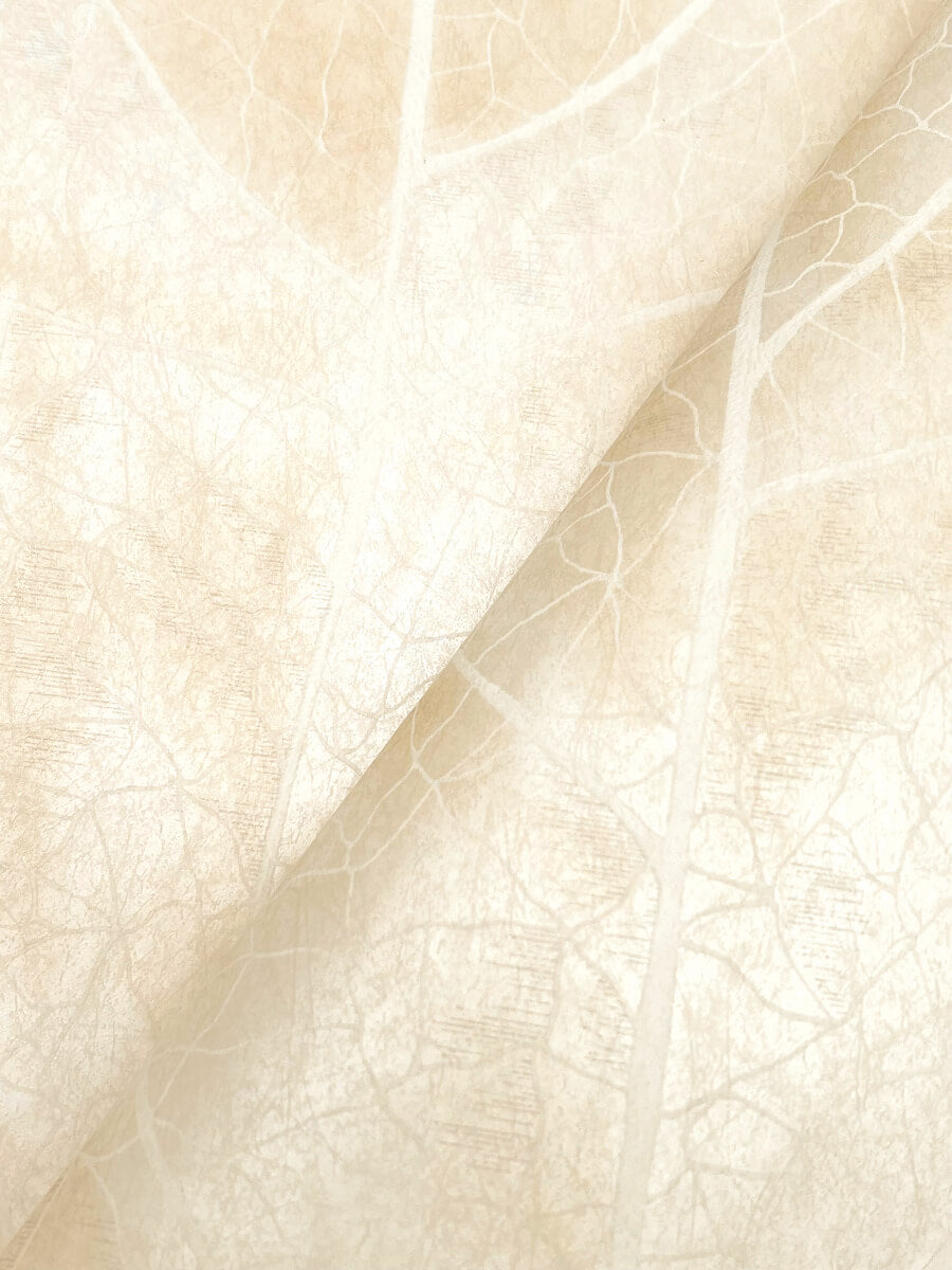 Candice Olson Natural Discovery Dicot Leaf Wallpaper - Pearl