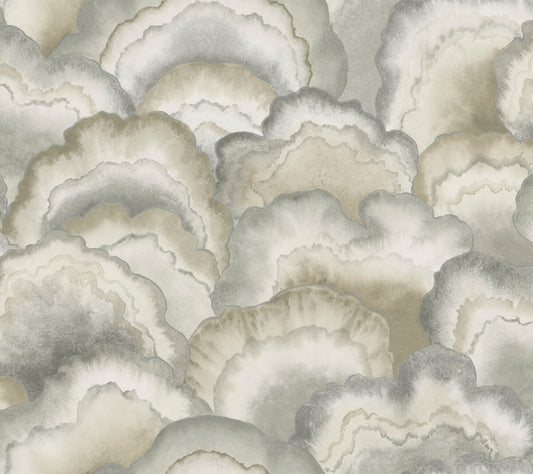 Candice Olson Natural Discovery Abalone Fans Wallpaper - Smokey