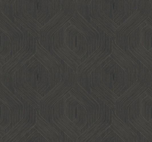 Candice Olson Natural Discovery Fine Line Geometric Wallpaper - Black
