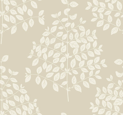 Candice Olson Modern Nature Second Edition Tender Wallpaper - Pearl & Taupe