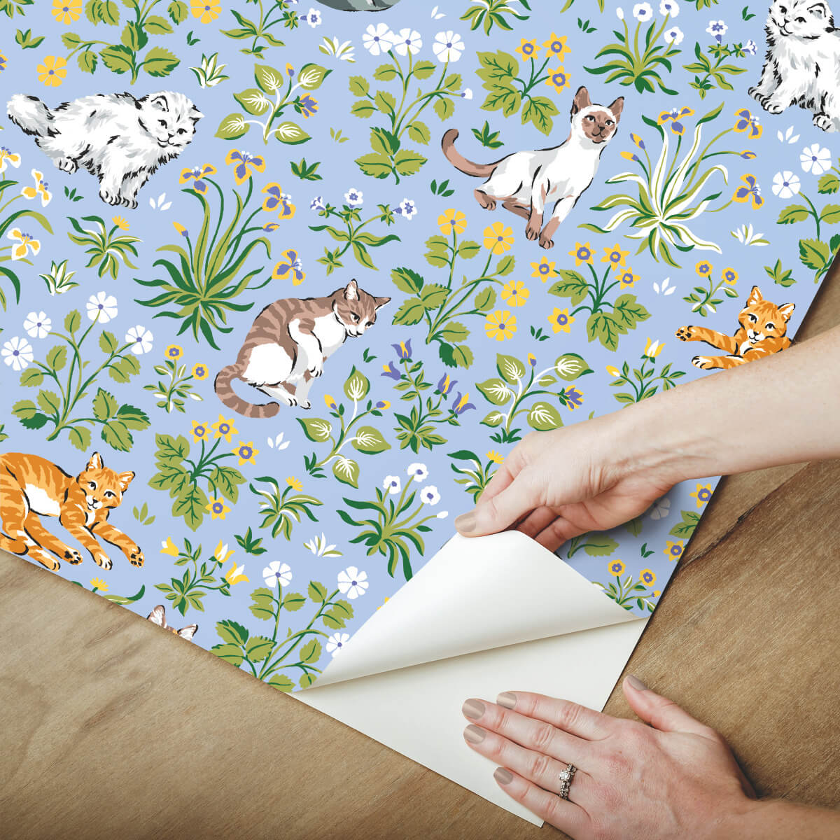 Must Love Cats Peel & Stick Wallpaper Sample - Blue