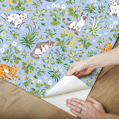 Must Love Cats Peel & Stick Wallpaper Sample - Blue