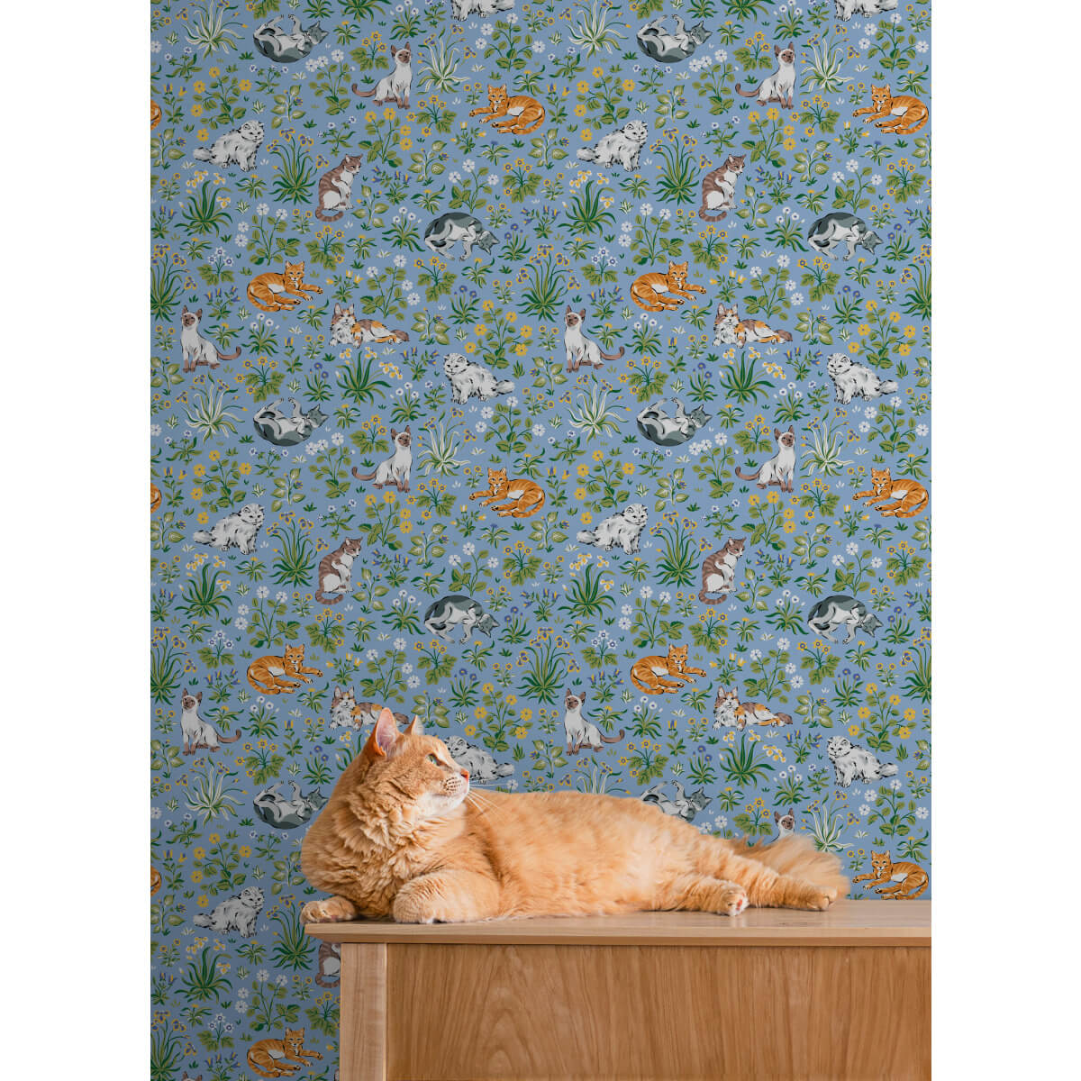 Must Love Cats Peel & Stick Wallpaper Sample - Blue