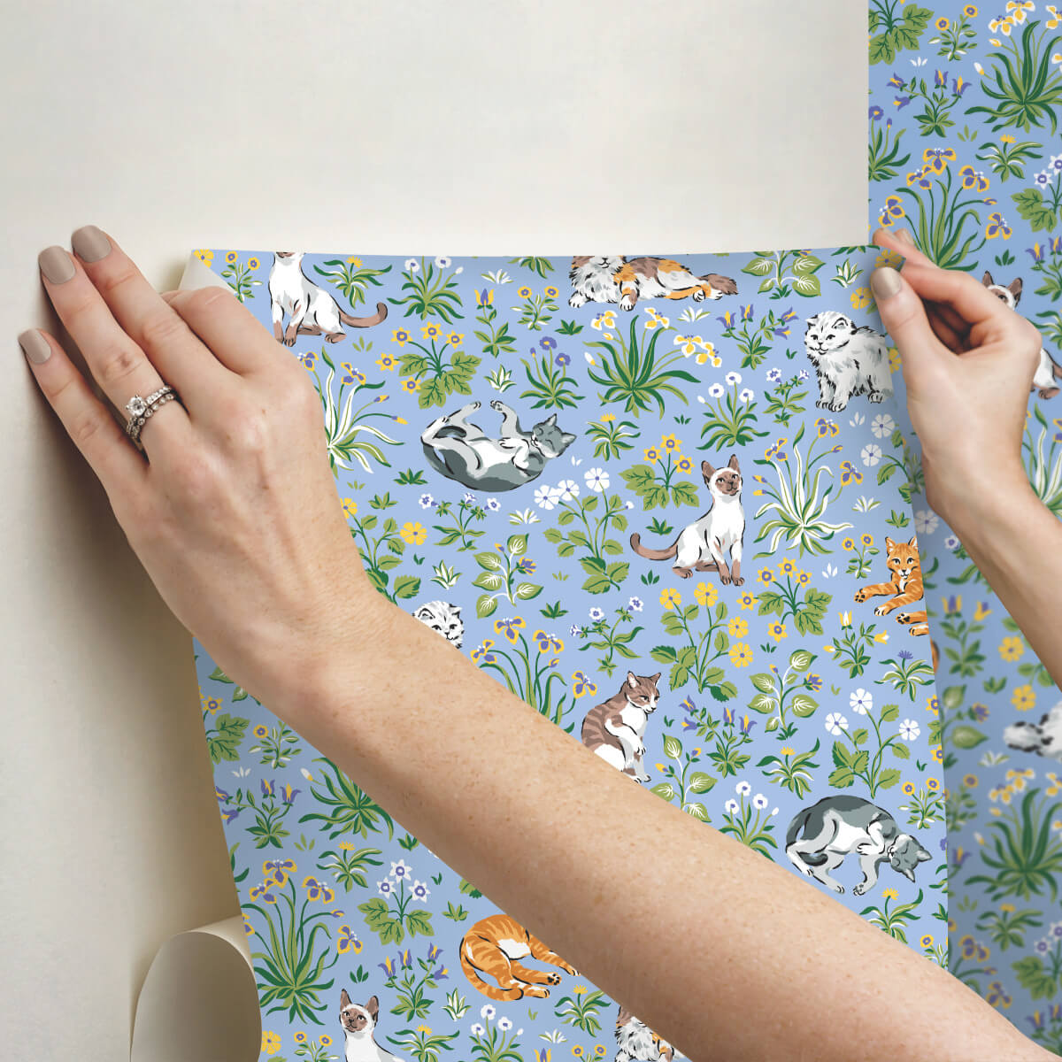 Must Love Cats Peel & Stick Wallpaper Sample - Blue