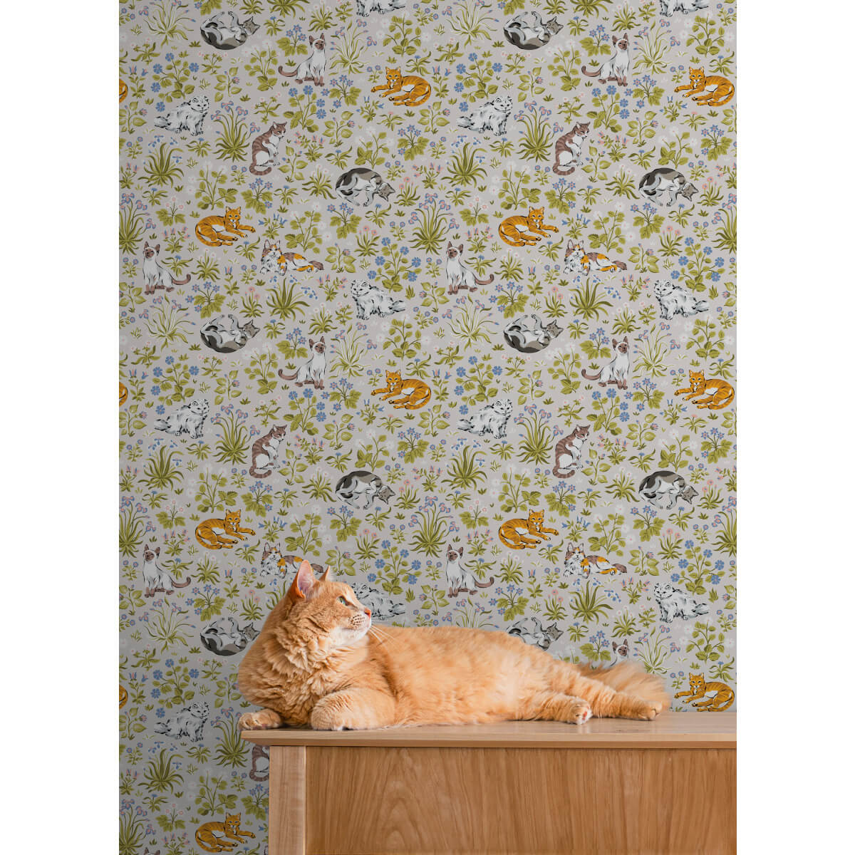 Must Love Cats Peel & Stick Wallpaper - Linen