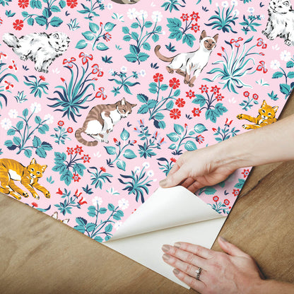 Must Love Cats Peel & Stick Wallpaper Sample - Pink