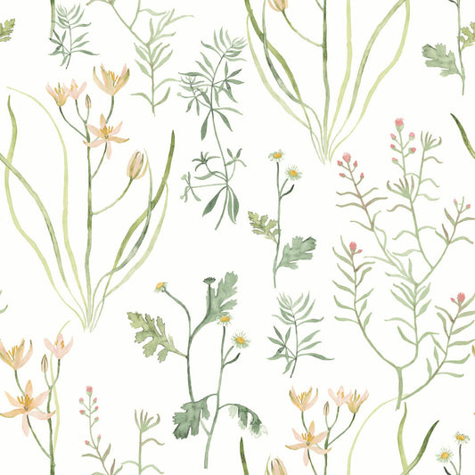 Watercolor Botanicals Alpine Botanical Peel & Stick Wallpaper - Peach