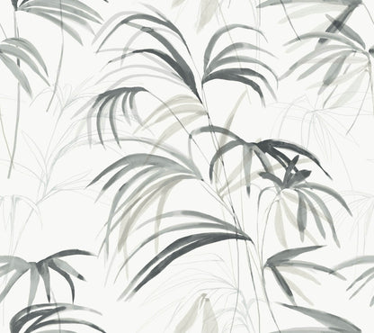 Simply Candice Inky Palms Peel & Stick Wallpaper - Black