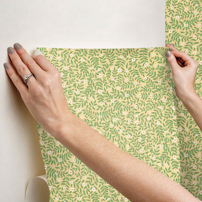 Rifle Paper Co. Elodie Peel & Stick Wallpaper - Gold