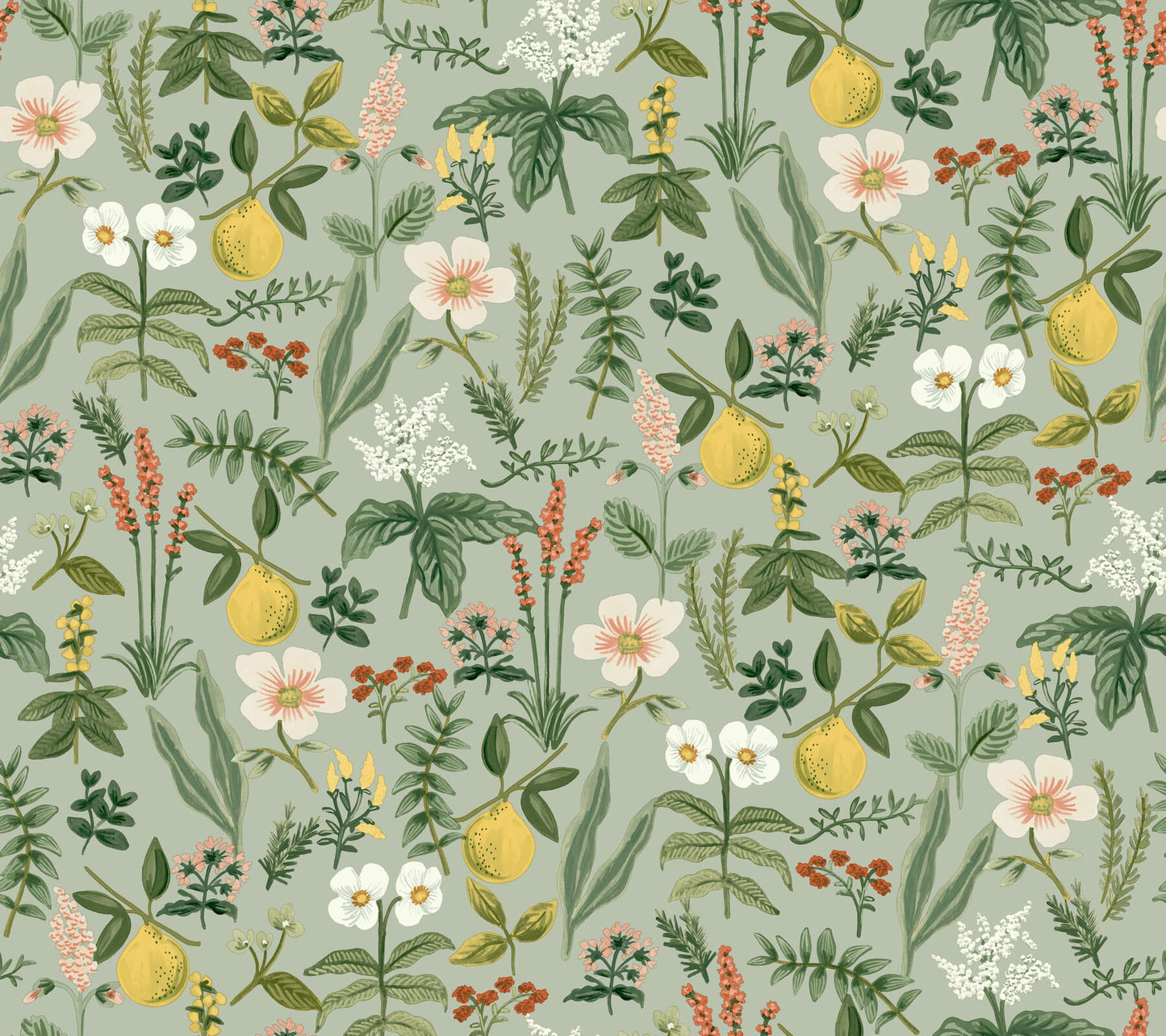 Rifle Paper Co. Peel & Stick Wallpaper - SAMPLE