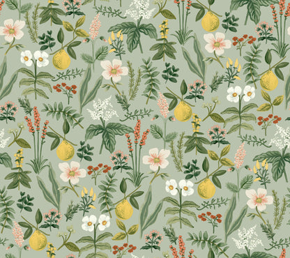 Rifle Paper Co. Peel & Stick Wallpaper - SAMPLE
